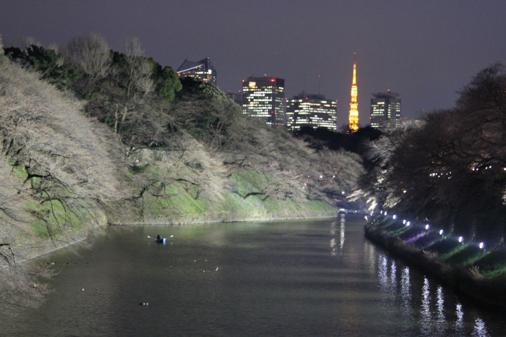 f:id:hirokows:20170328225731j:plain f:id:hirokows:20170328225731j:plain