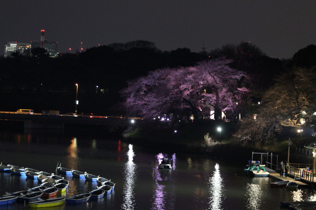 f:id:hirokows:20170328225814j:plain f:id:hirokows:20170328225814j:plain