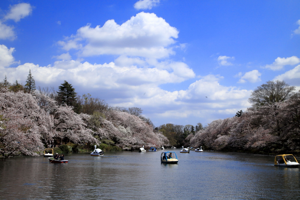 f:id:hirokows:20170415123032j:plain