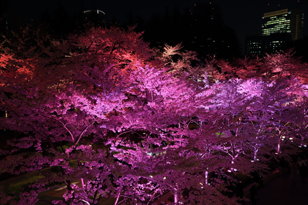 f:id:hirokows:20180328010436j:plain f:id:hirokows:20180328010436j:plain