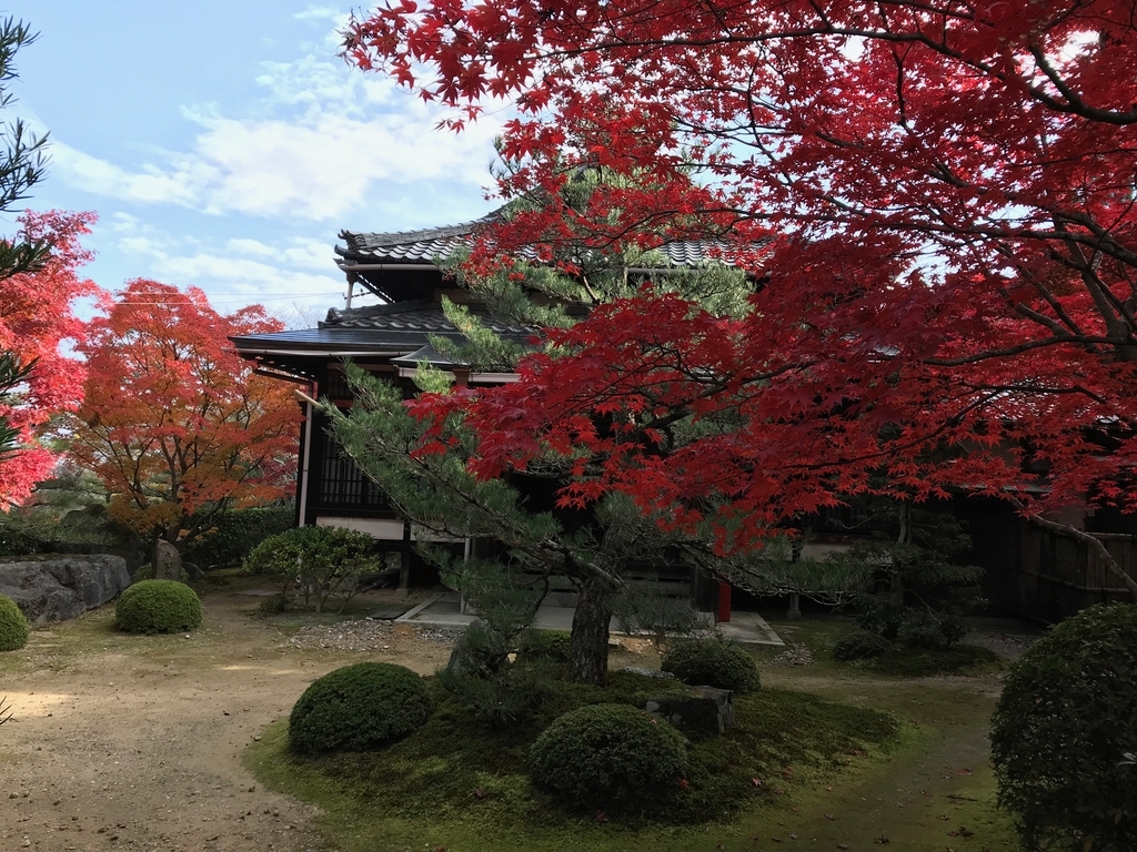 f:id:hirokows:20181210220724j:plain f:id:hirokows:20181210220724j:plain