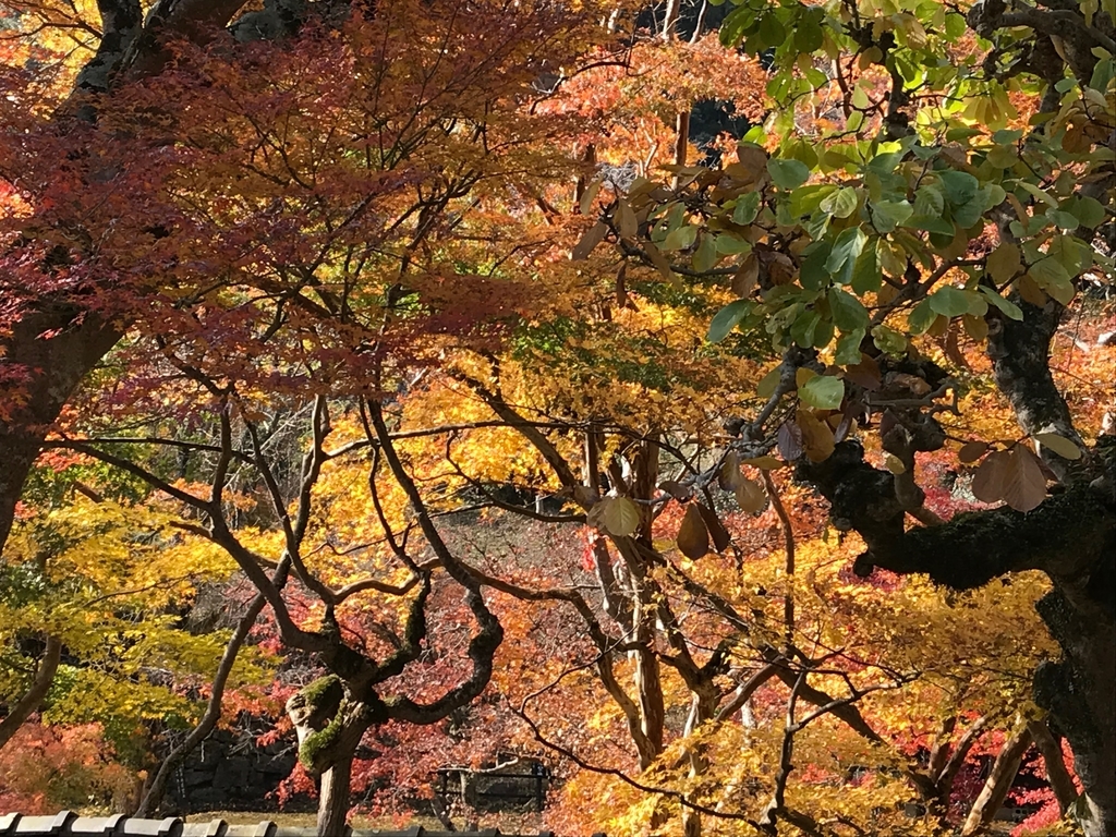 f:id:hirokows:20181211214440j:plain