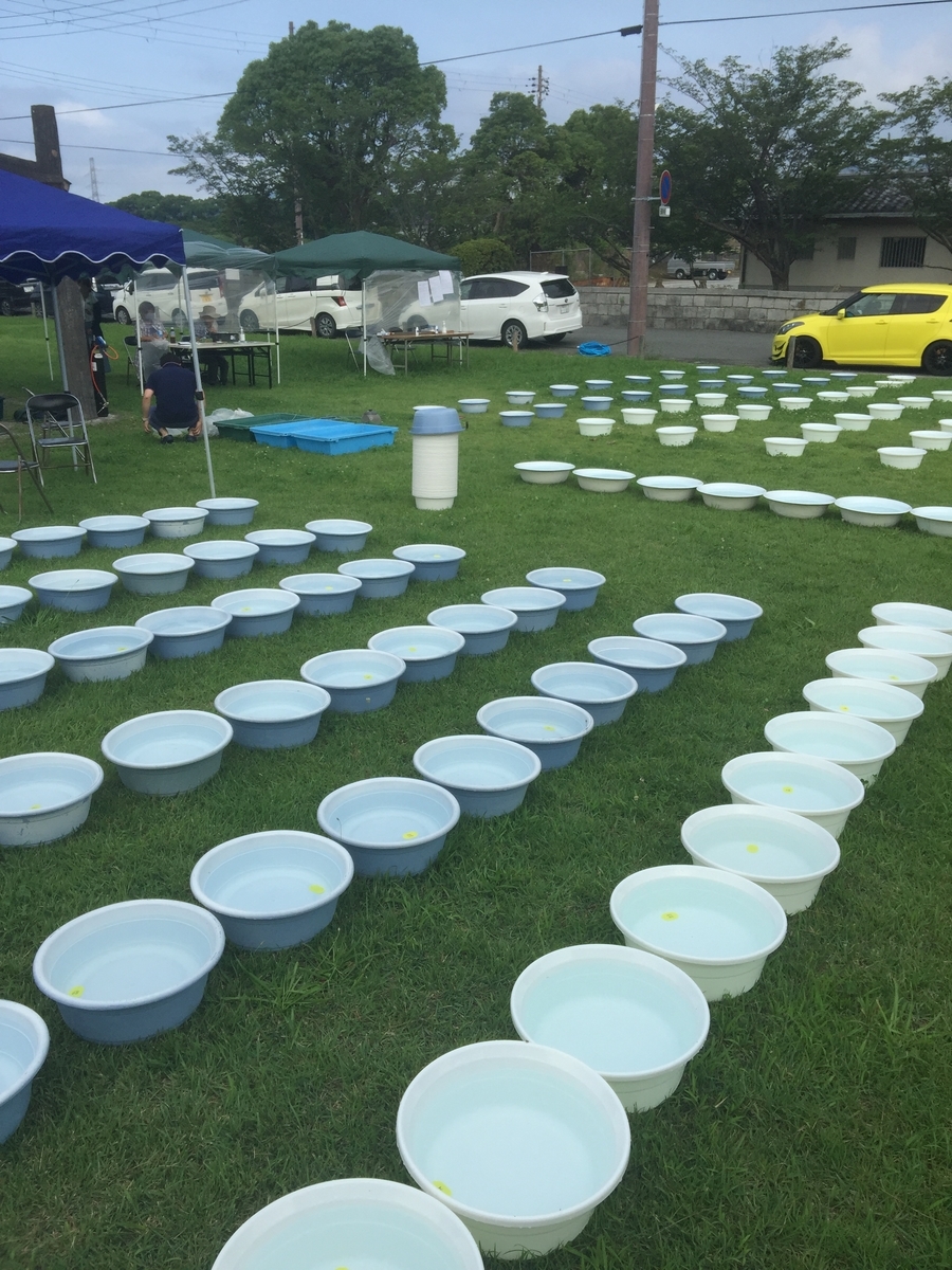 f:id:hirokules:20200720211200j:plain