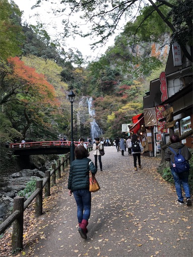 f:id:hiromi-juu705:20181114234829j:image