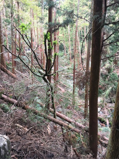 f:id:hiromi-juu705:20181114234901j:image