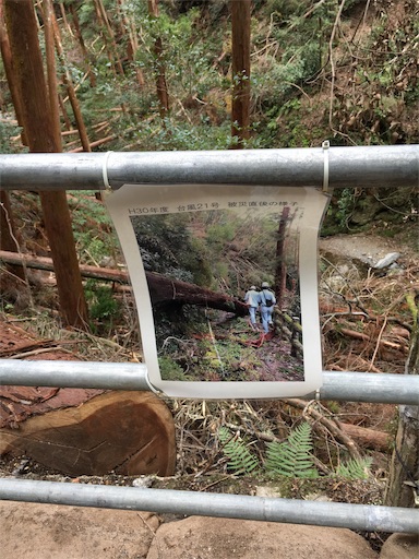 f:id:hiromi-juu705:20181114235021j:image