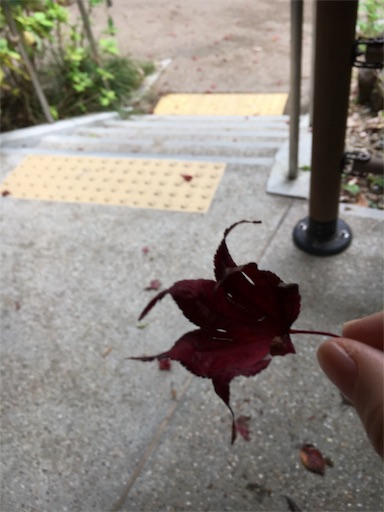 f:id:hiromi-juu705:20181114235330j:image