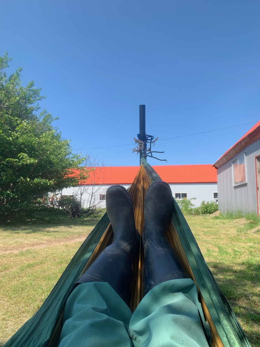 f:id:hiromi-okayama:20190729150545j:plain f:id:hiromi-okayama:20190729150545j:plain