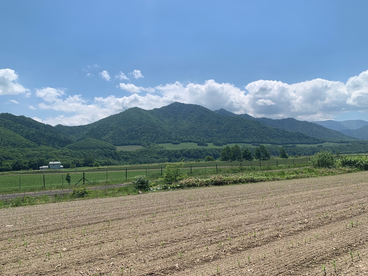 f:id:hiromi-okayama:20190729150752j:plain f:id:hiromi-okayama:20190729150752j:plain