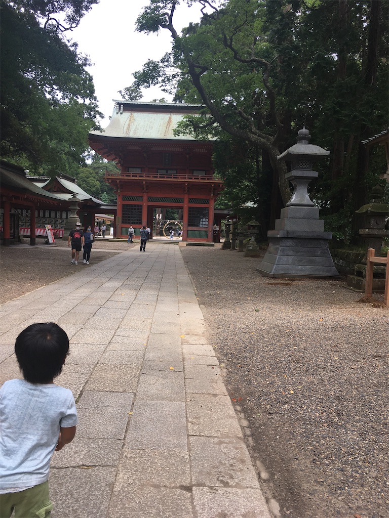 f:id:hiromi8600:20200717204640j:image f:id:hiromi8600:20200717204640j:image