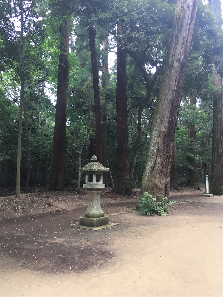 f:id:hiromi8600:20200717205024j:image f:id:hiromi8600:20200717205024j:image