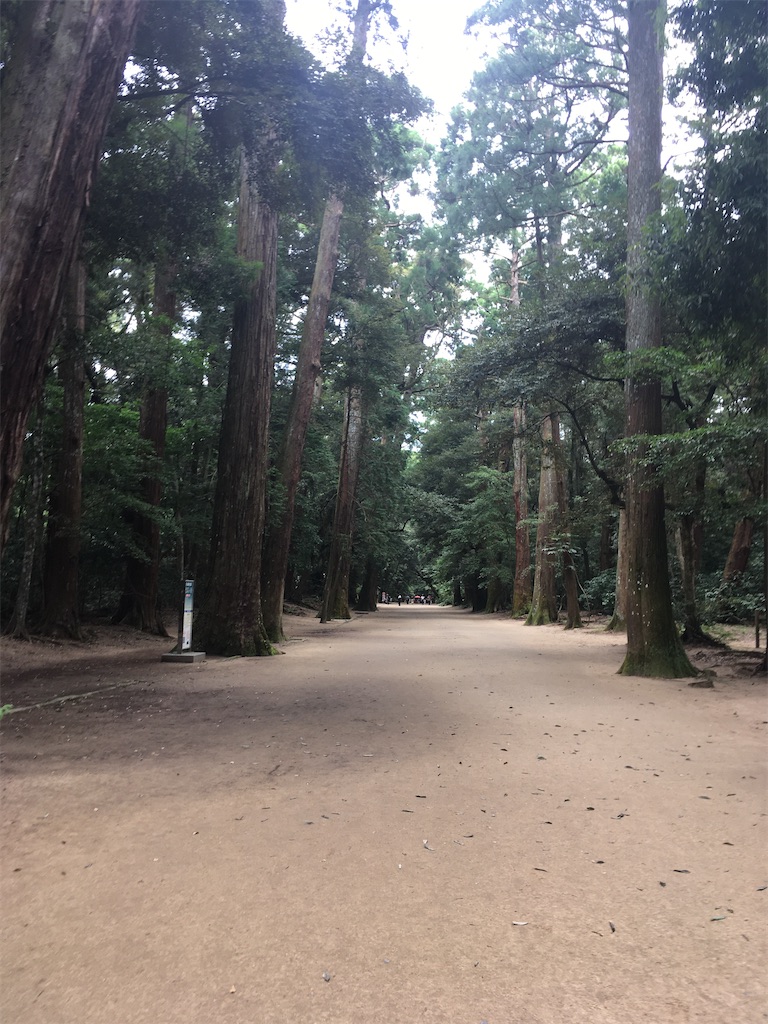 f:id:hiromi8600:20200717205038j:image f:id:hiromi8600:20200717205038j:image