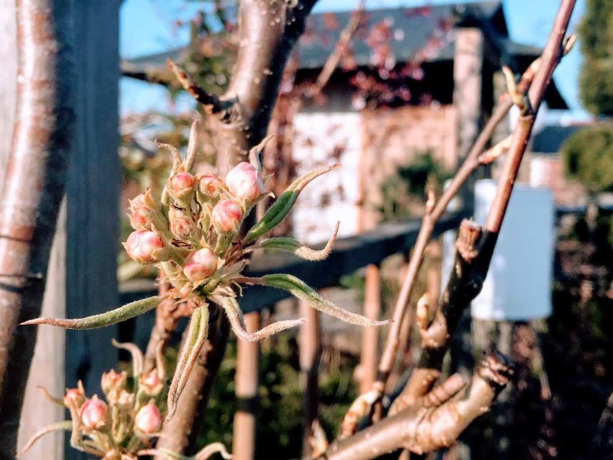 f:id:hiromi_blomberg:20200413145228j:plain