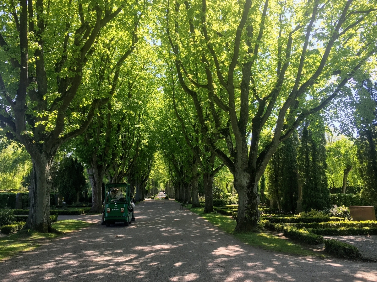 f:id:hiromi_blomberg:20200525132313j:plain