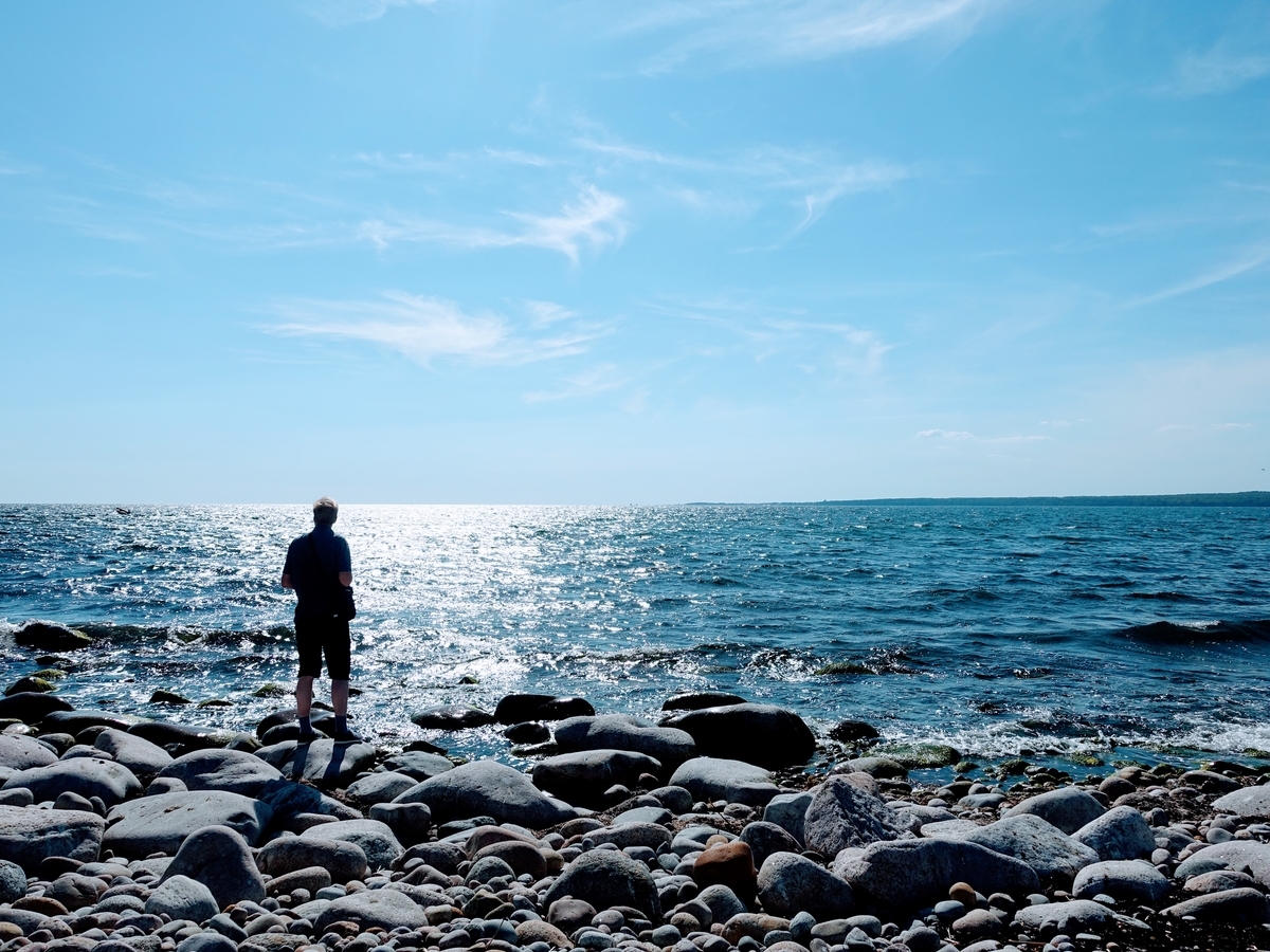 f:id:hiromi_blomberg:20200626143459j:plain