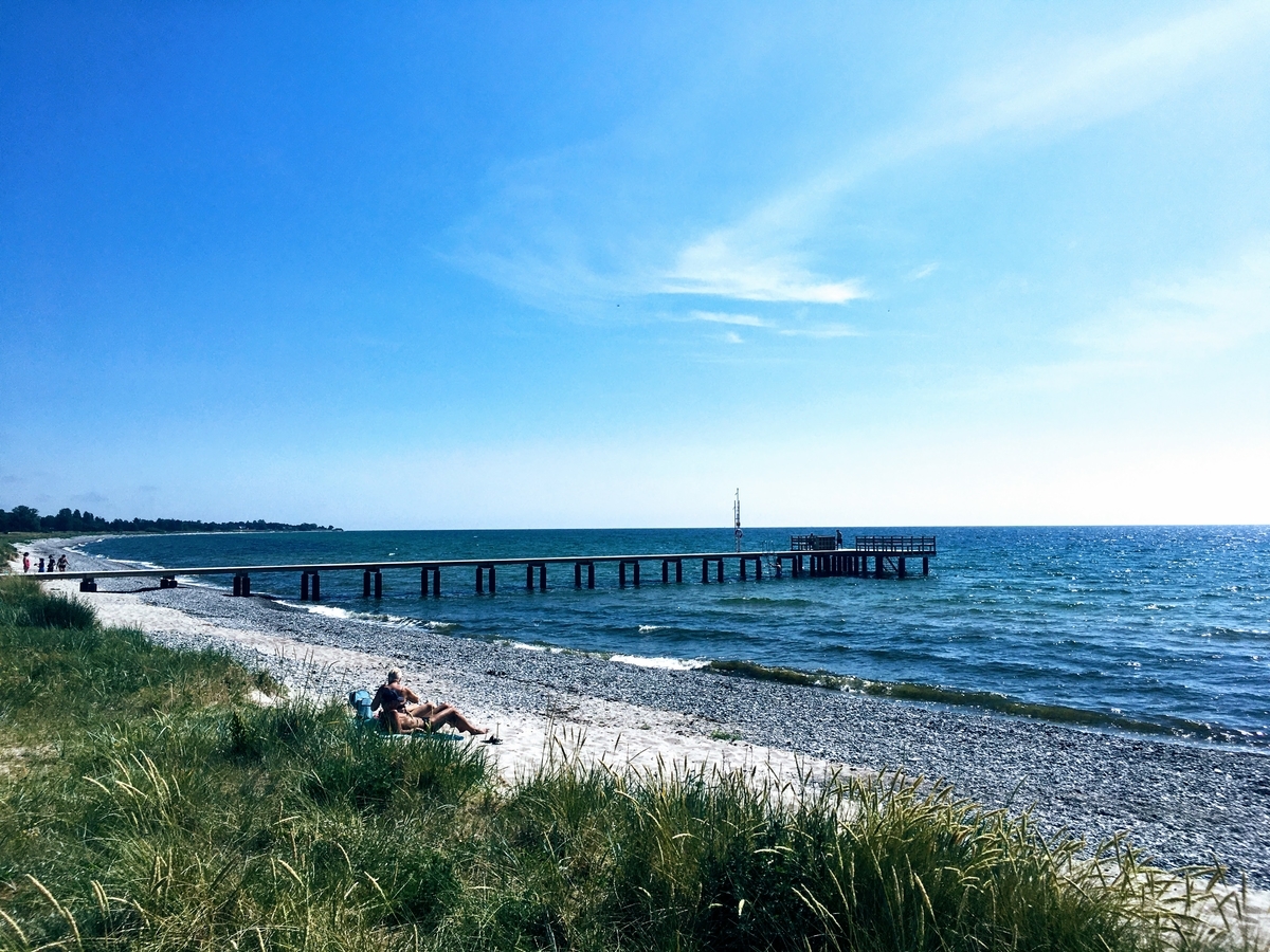 f:id:hiromi_blomberg:20200629131900j:plain f:id:hiromi_blomberg:20200629131900j:plain