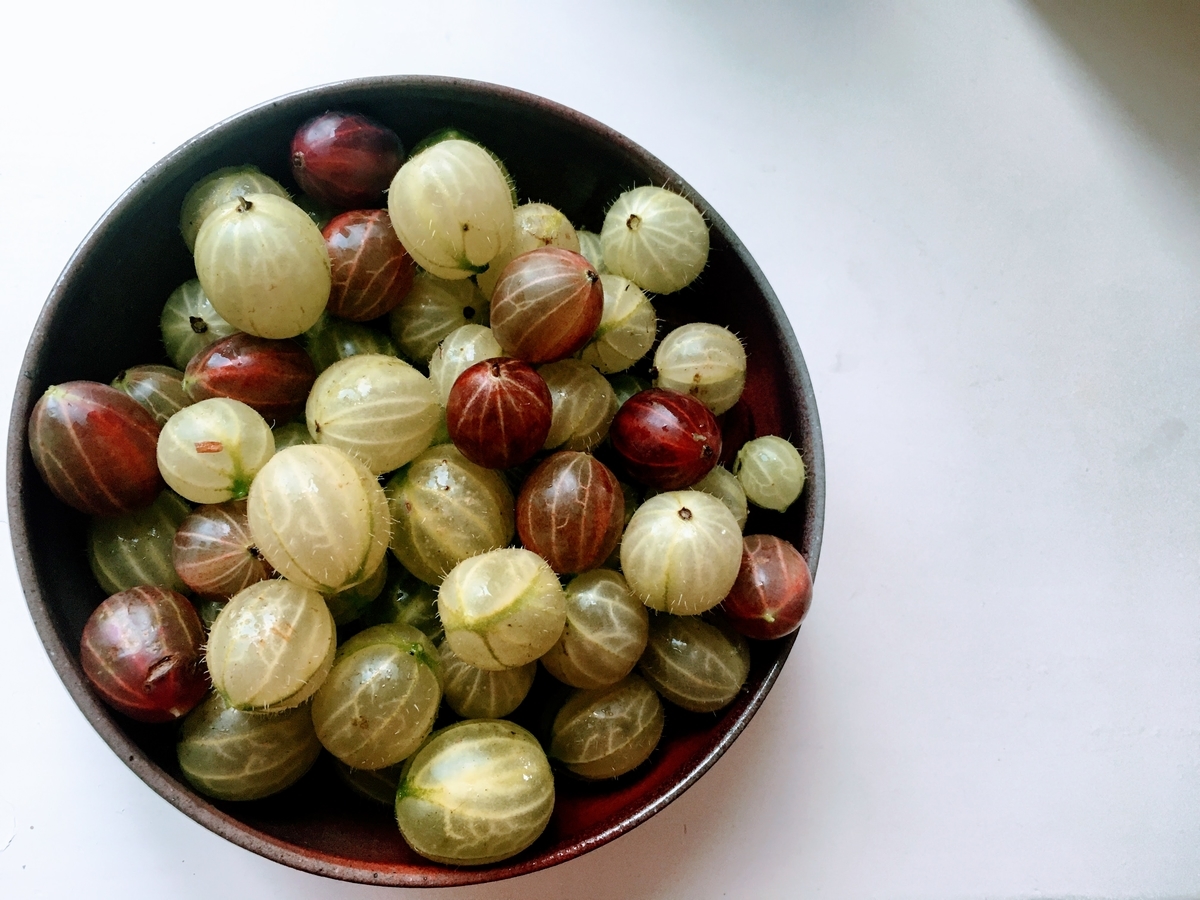 f:id:hiromi_blomberg:20200718180416j:plain f:id:hiromi_blomberg:20200718180416j:plain