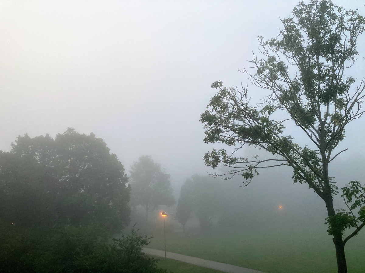 f:id:hiromi_blomberg:20201009134635j:plain