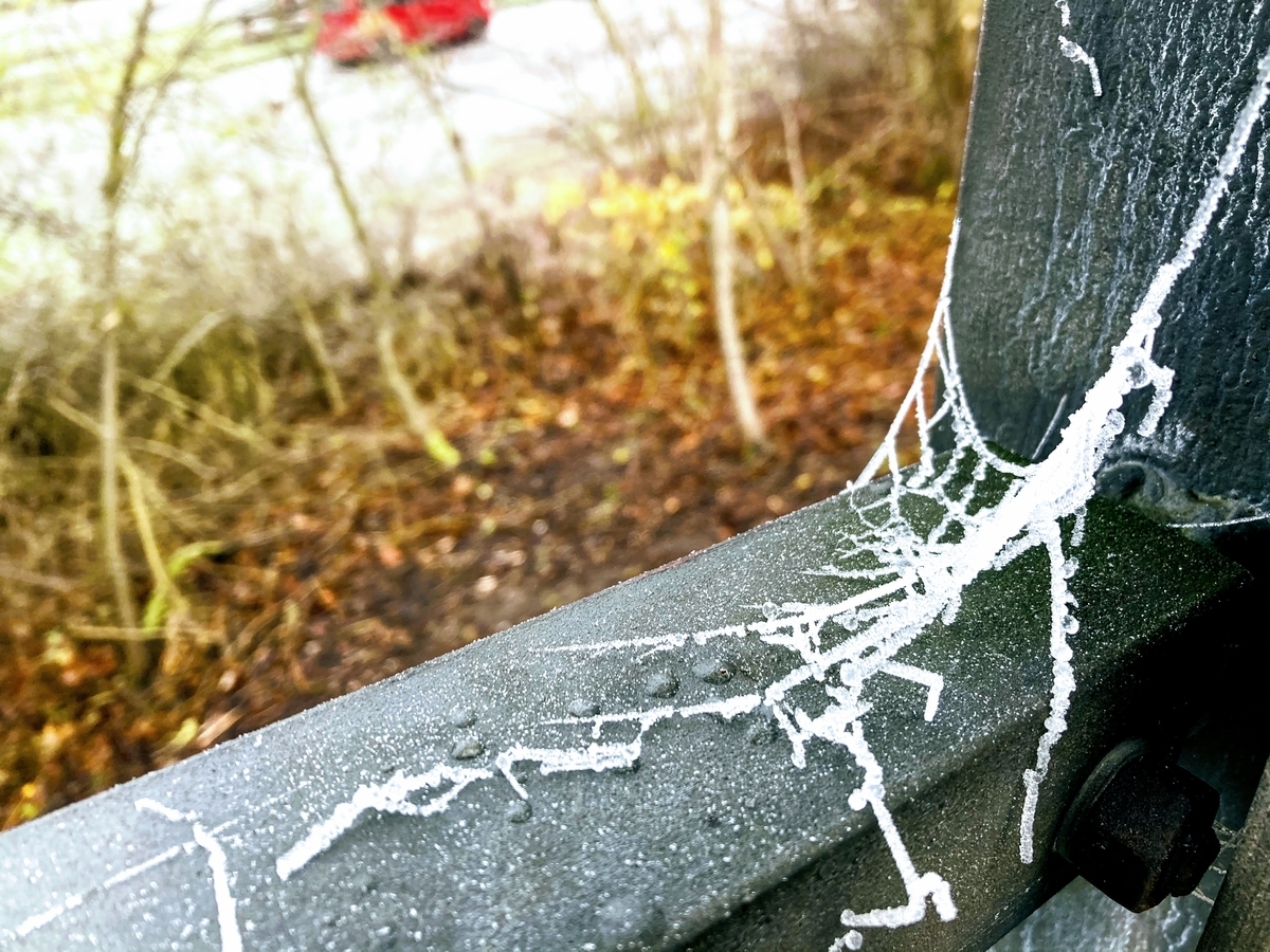 f:id:hiromi_blomberg:20201130142332j:plain