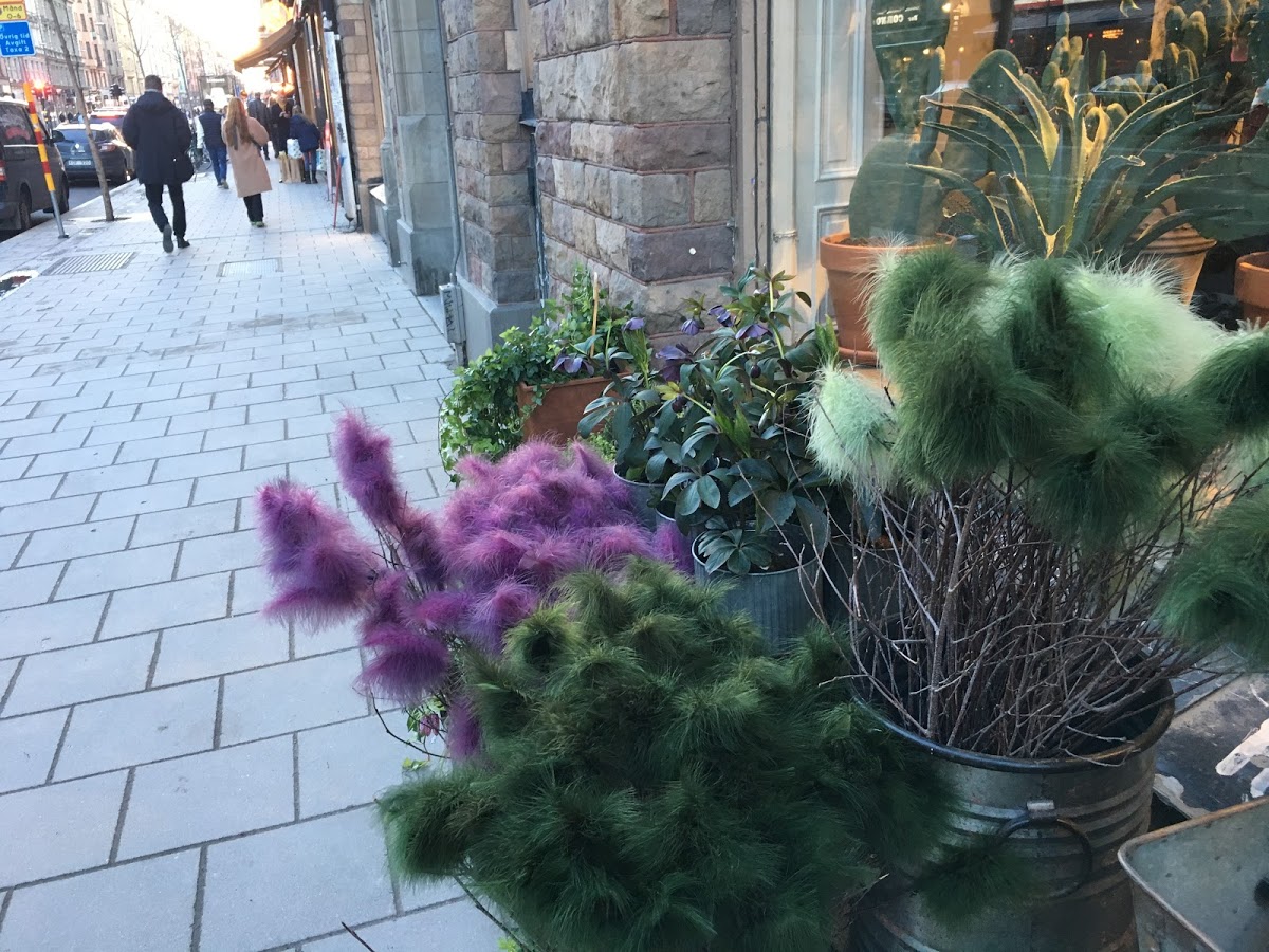 f:id:hiromi_blomberg:20201213225446j:plain