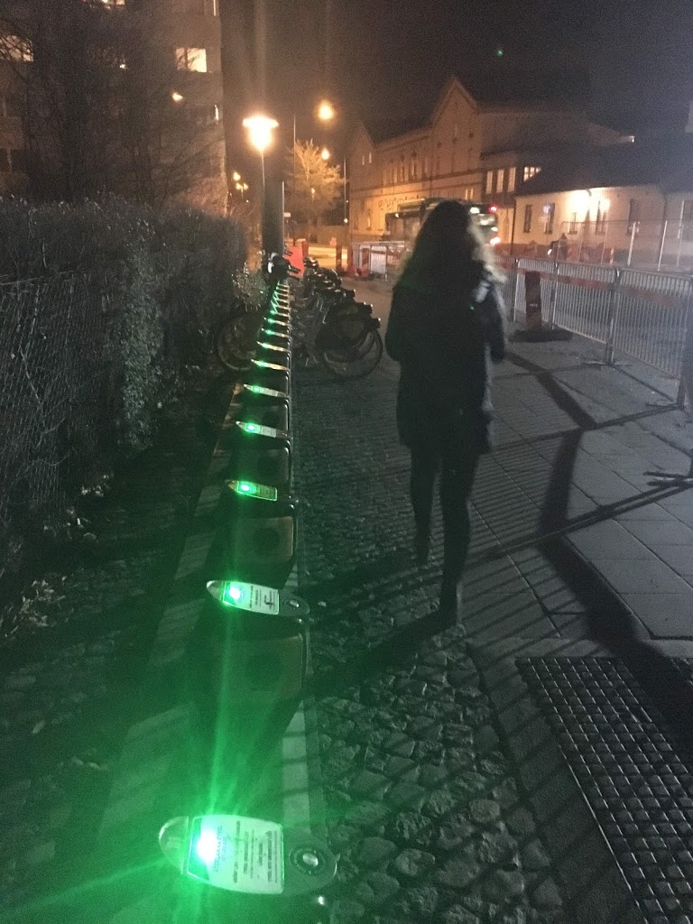 f:id:hiromi_blomberg:20201213231003j:plain