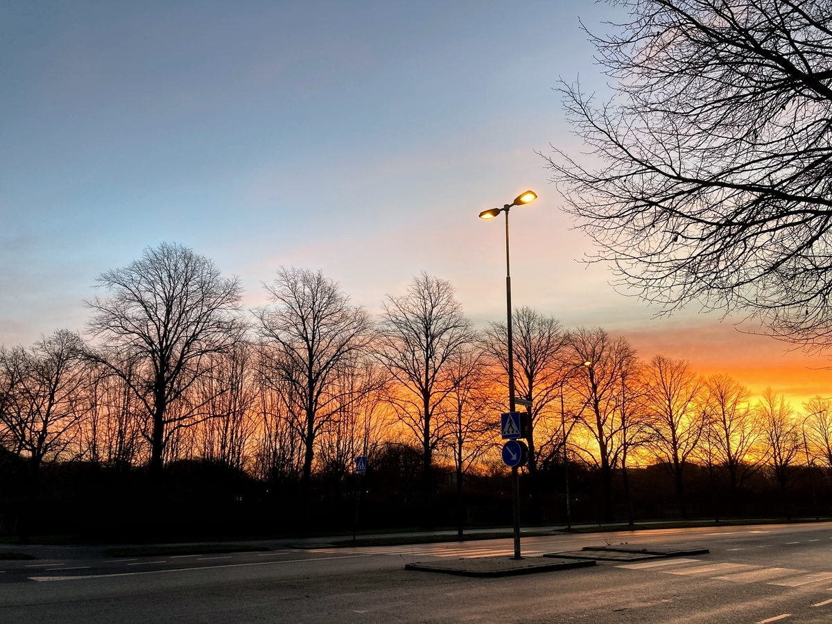 f:id:hiromi_blomberg:20201225173324j:plain