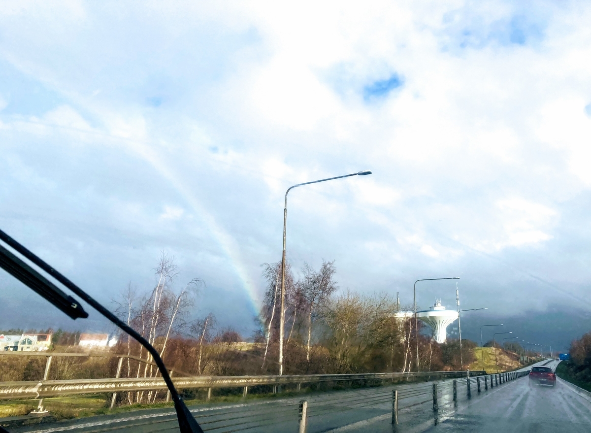 f:id:hiromi_blomberg:20210107132725j:plain