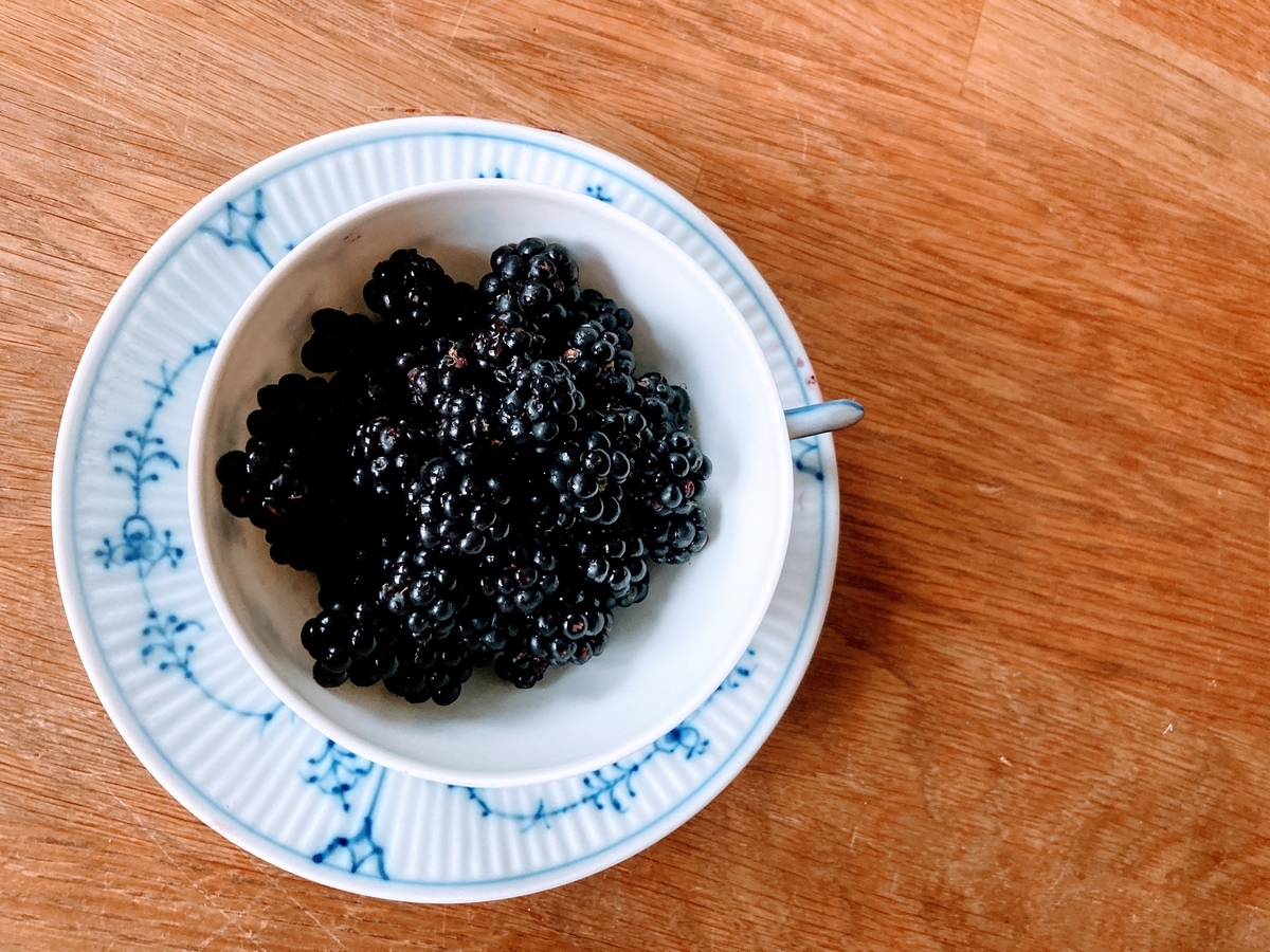 f:id:hiromi_blomberg:20210908122656j:plain