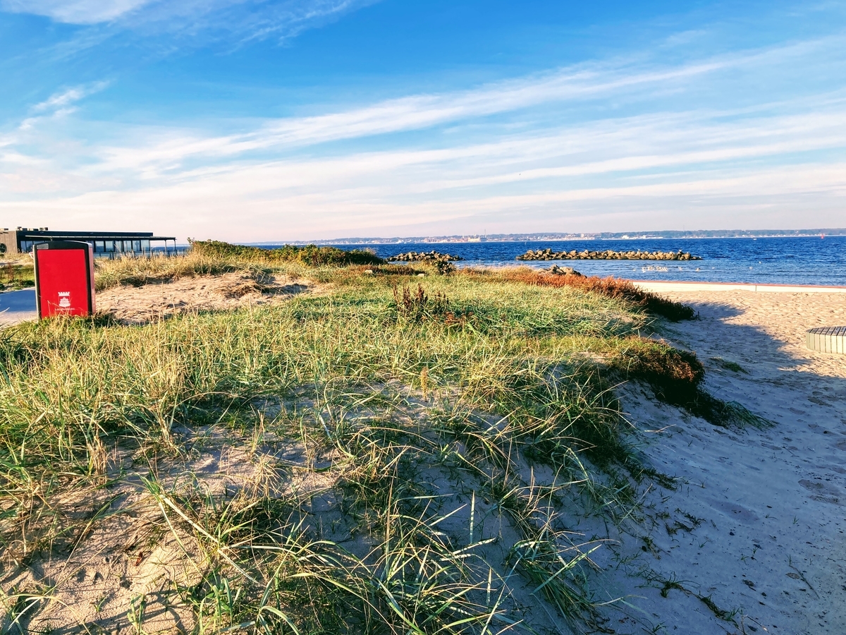 f:id:hiromi_blomberg:20211015130355j:plain