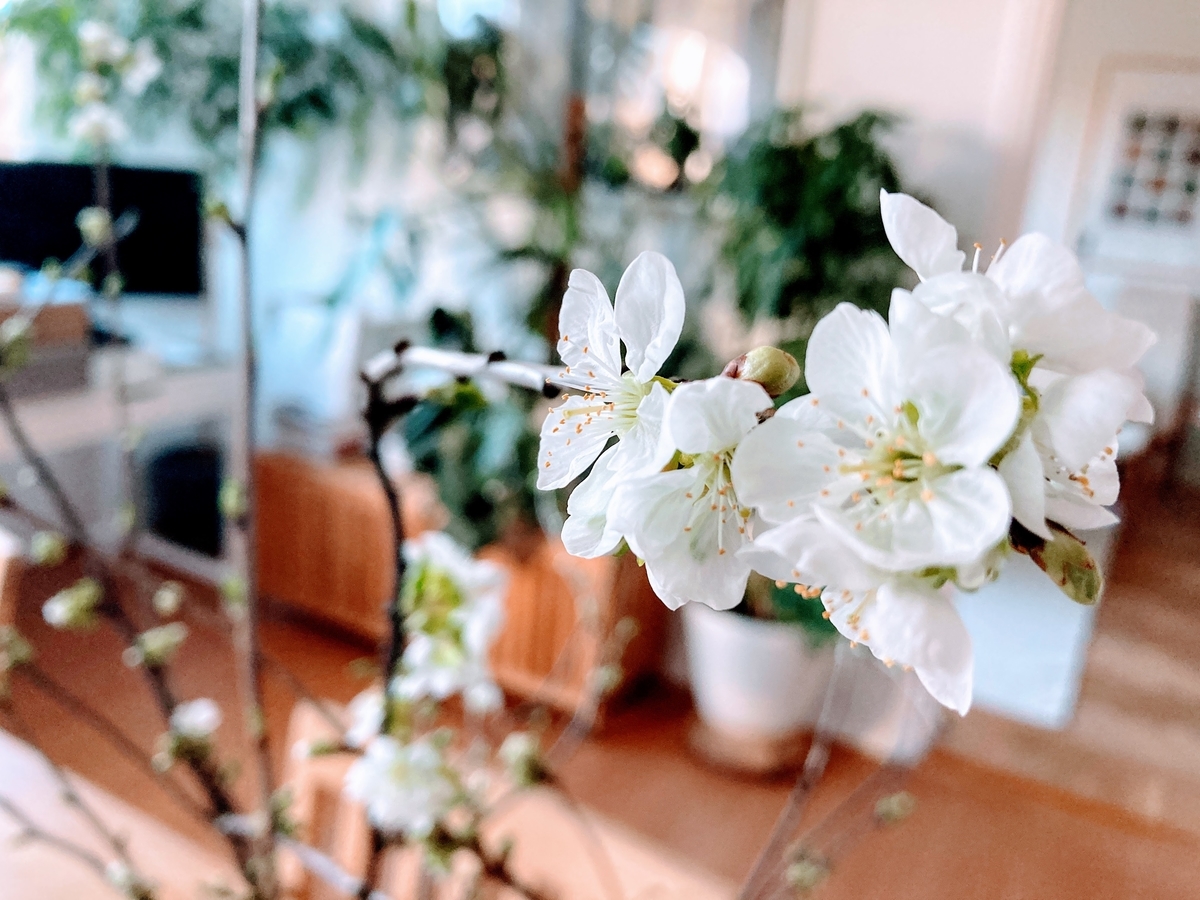 f:id:hiromi_blomberg:20220314142459j:plain