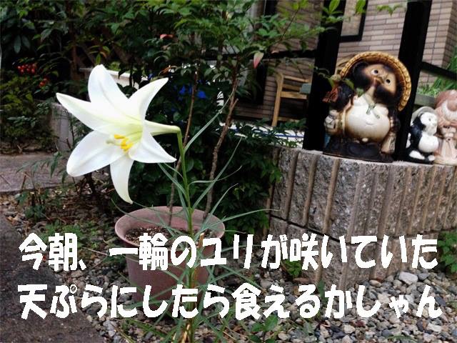 何とかなるように自分でしただけ