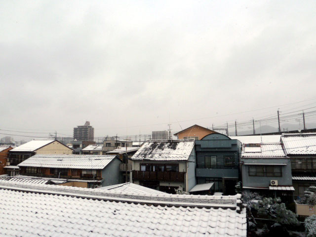 積雪