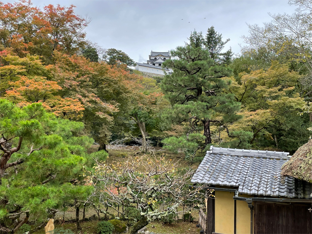 彦根城