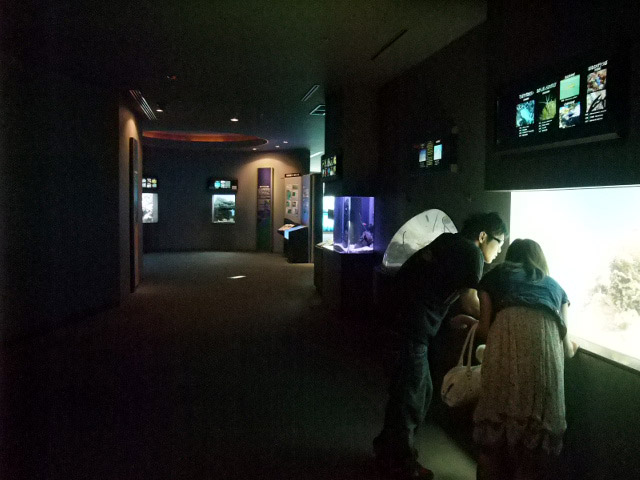 館内