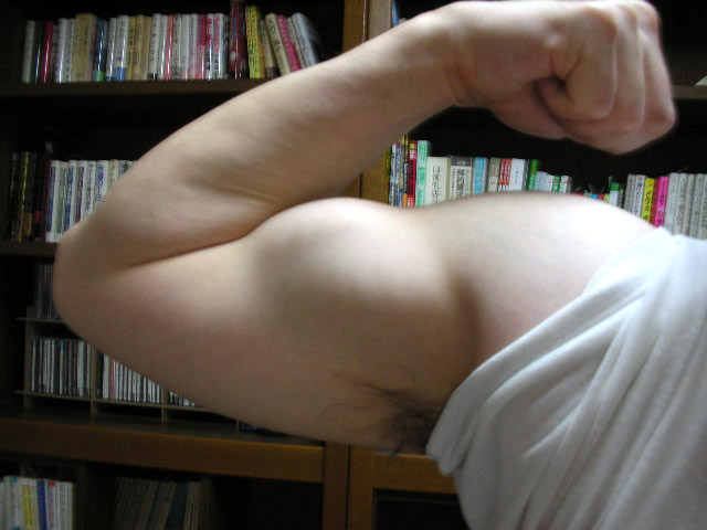 翔べ!肉体二枚目労働者