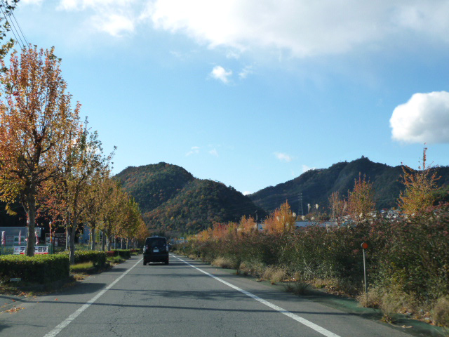 日野南