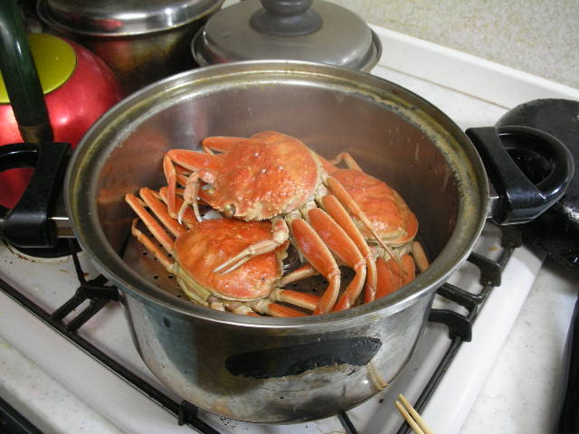 せいこがにの選択