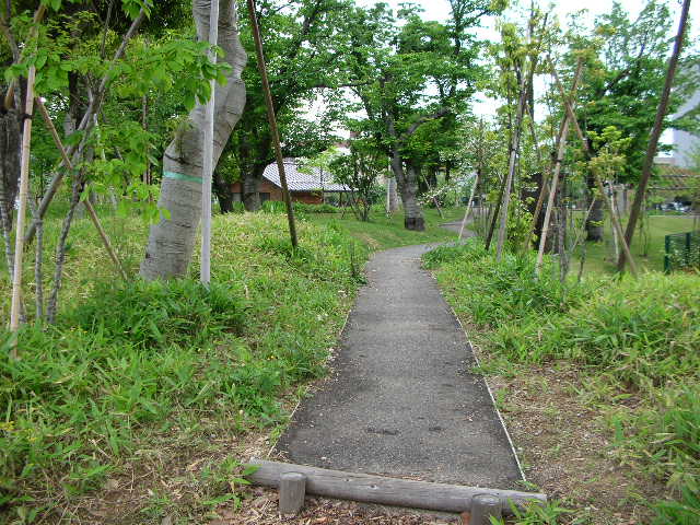 "虫の声