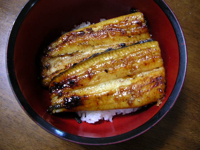 浜名湖の鰻