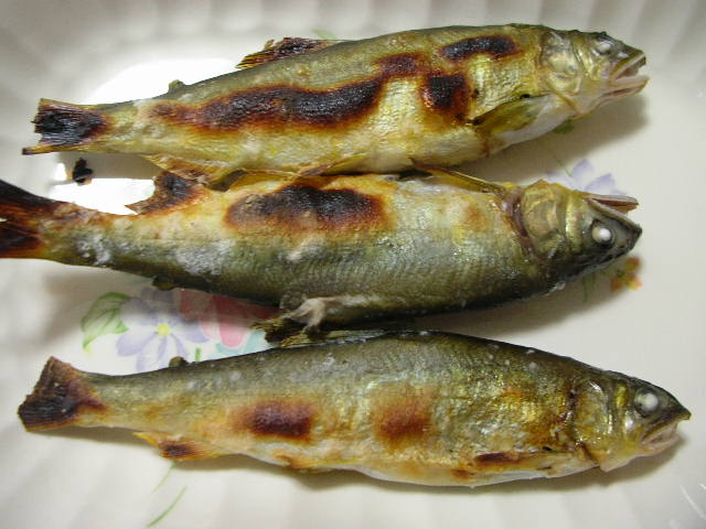 鮎三昧