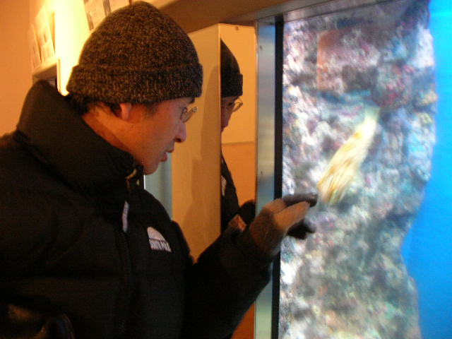 ハリセンボン