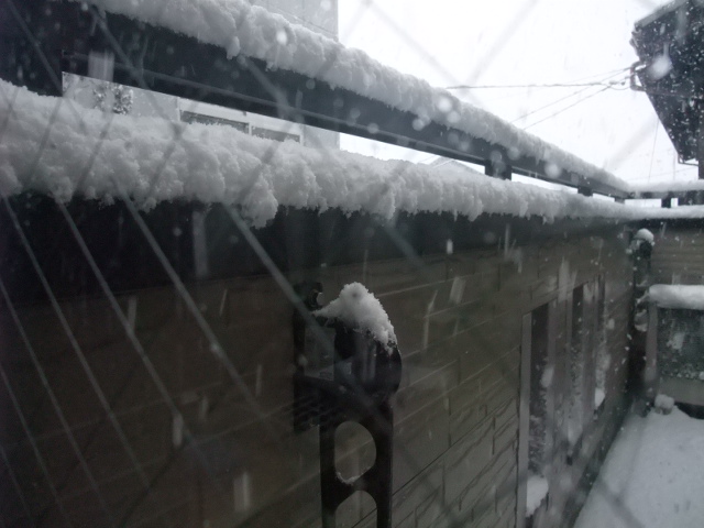 また雪