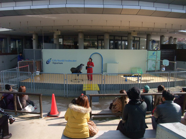 アシカショー