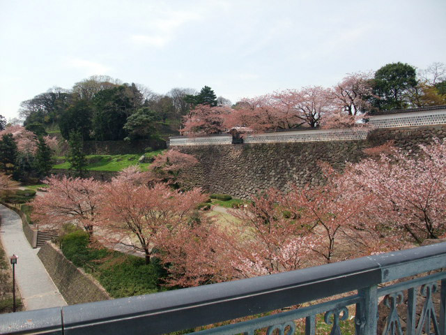 石川門に向かって左の風景