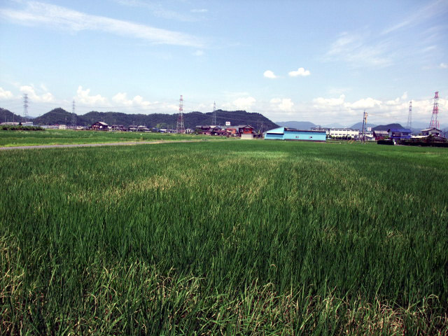 田園風景