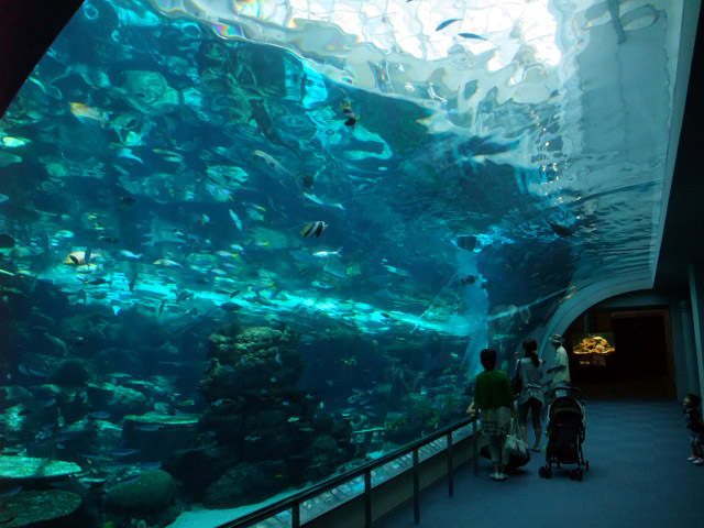 赤道の海