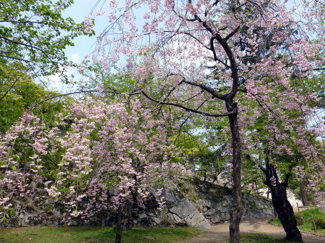 盛岡城
