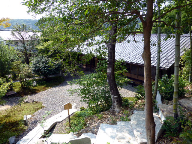 山茶林泉