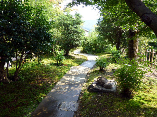 山茶林泉