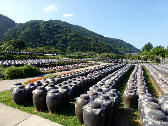 黒酢本舗